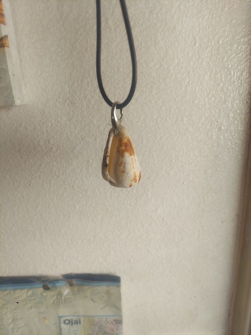 Seashell Necklace Pendant