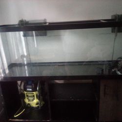 Very Nice $125 Gallon Aquarium With Two Frugal Filters