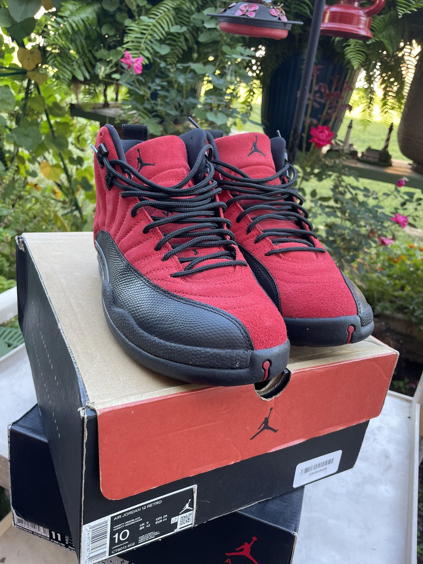 Jordan 12 Reverse Flu Games 