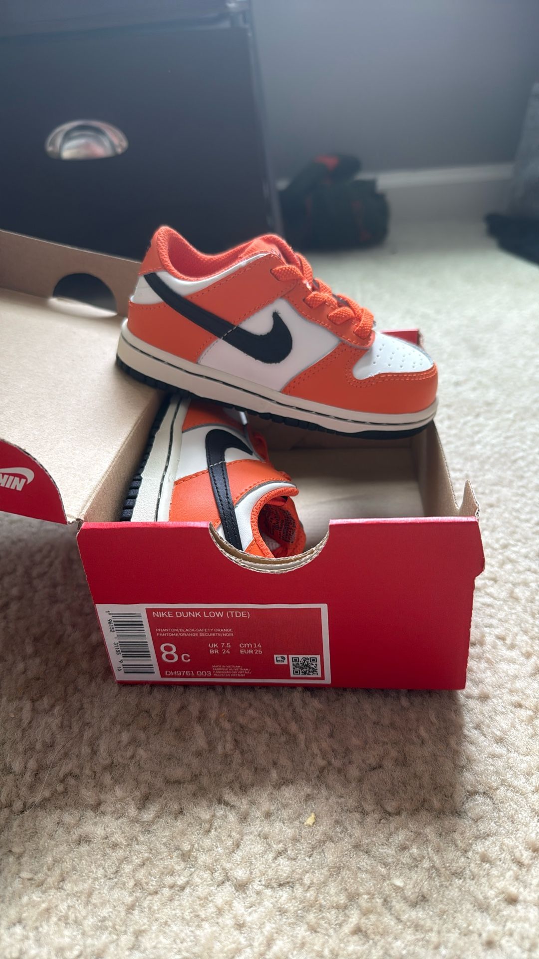 Nike Dunk Shoes
