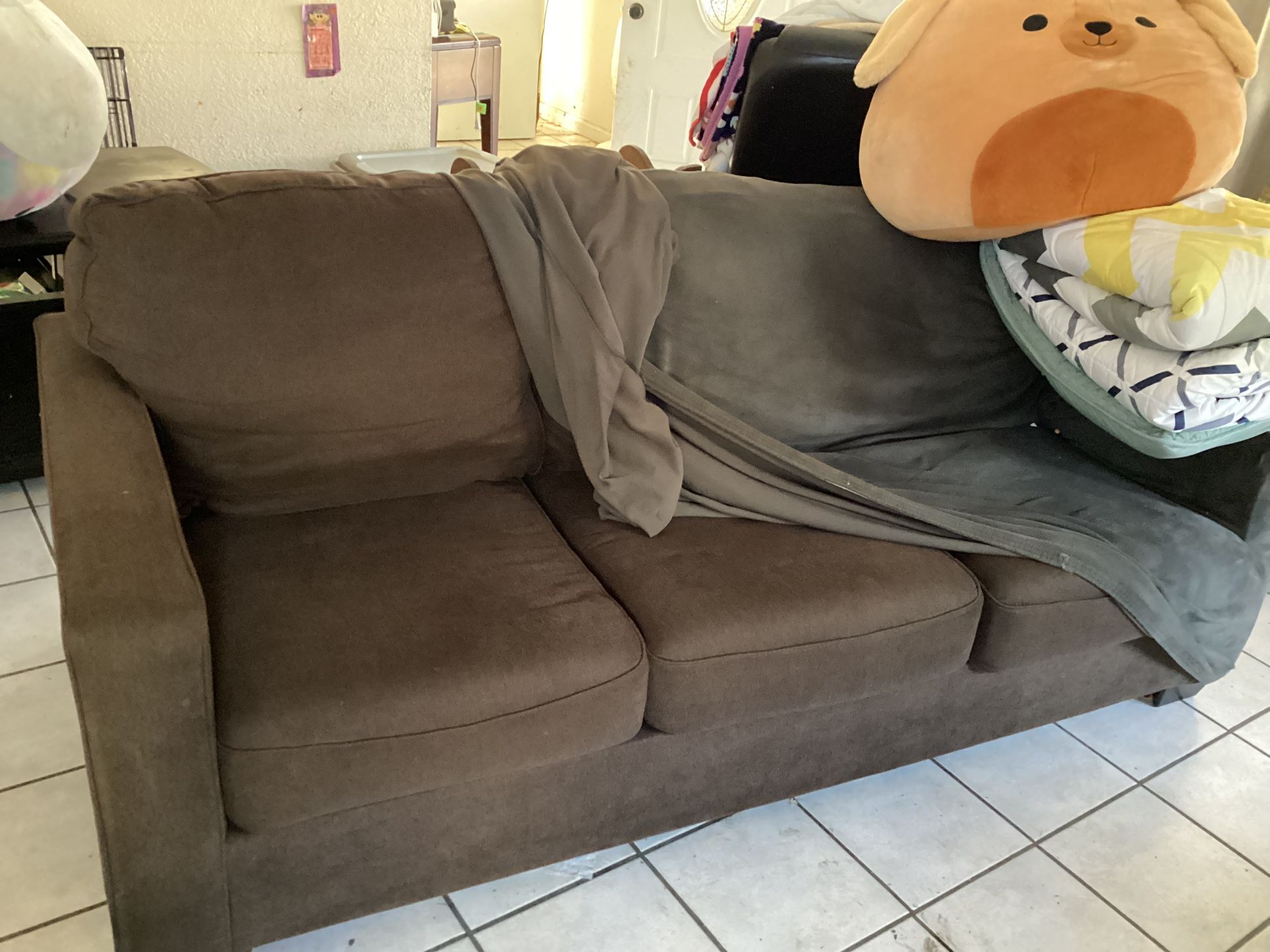 Couch/ Pulls Out Bed