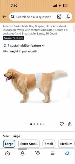 Free Amazon Dog diapers