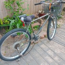 Schwinn Vintage Mountain Bike Smoked chrome