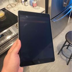 iPad 9th Generation With Case And Stylist And iPad Keyboard (selling/trading)