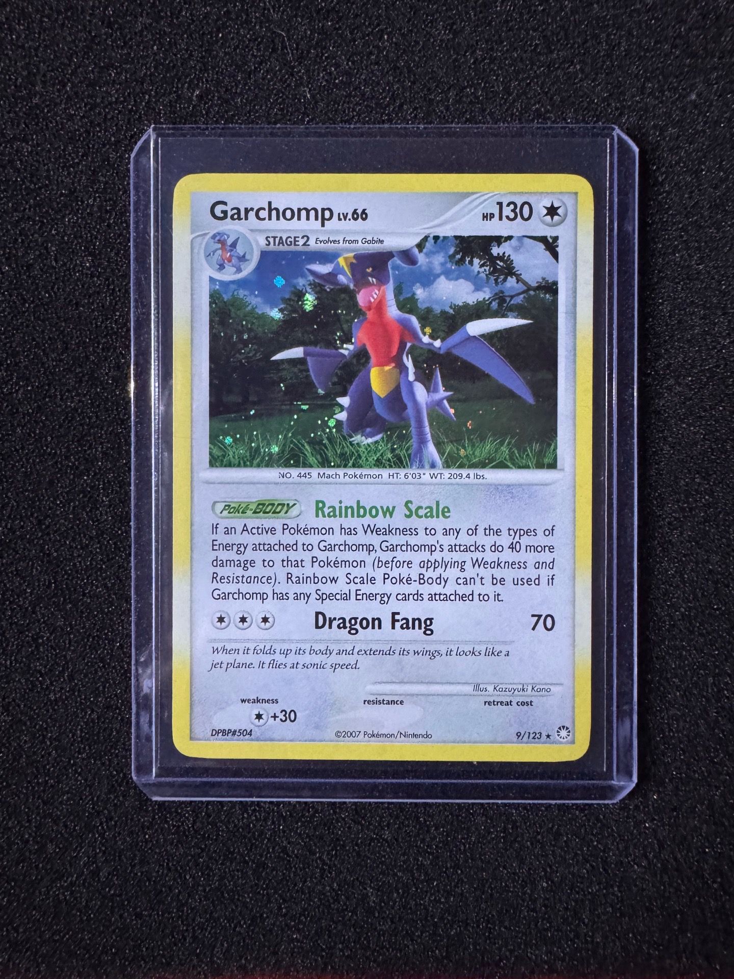 Garchomp Holo