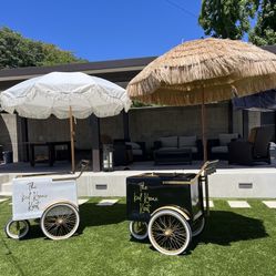 Paleta Cart Ice Cream Cart
