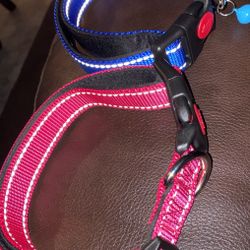Dog collar 