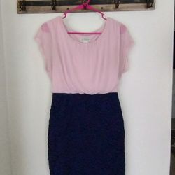 Size 8, Pink And Navy, Bodycon Dress