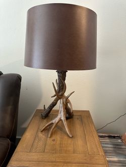 Deer antler lamp
