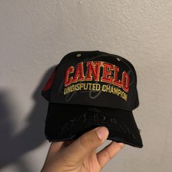 Dandy X Canelo Pound For Pound 