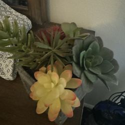 Fake Succulent 