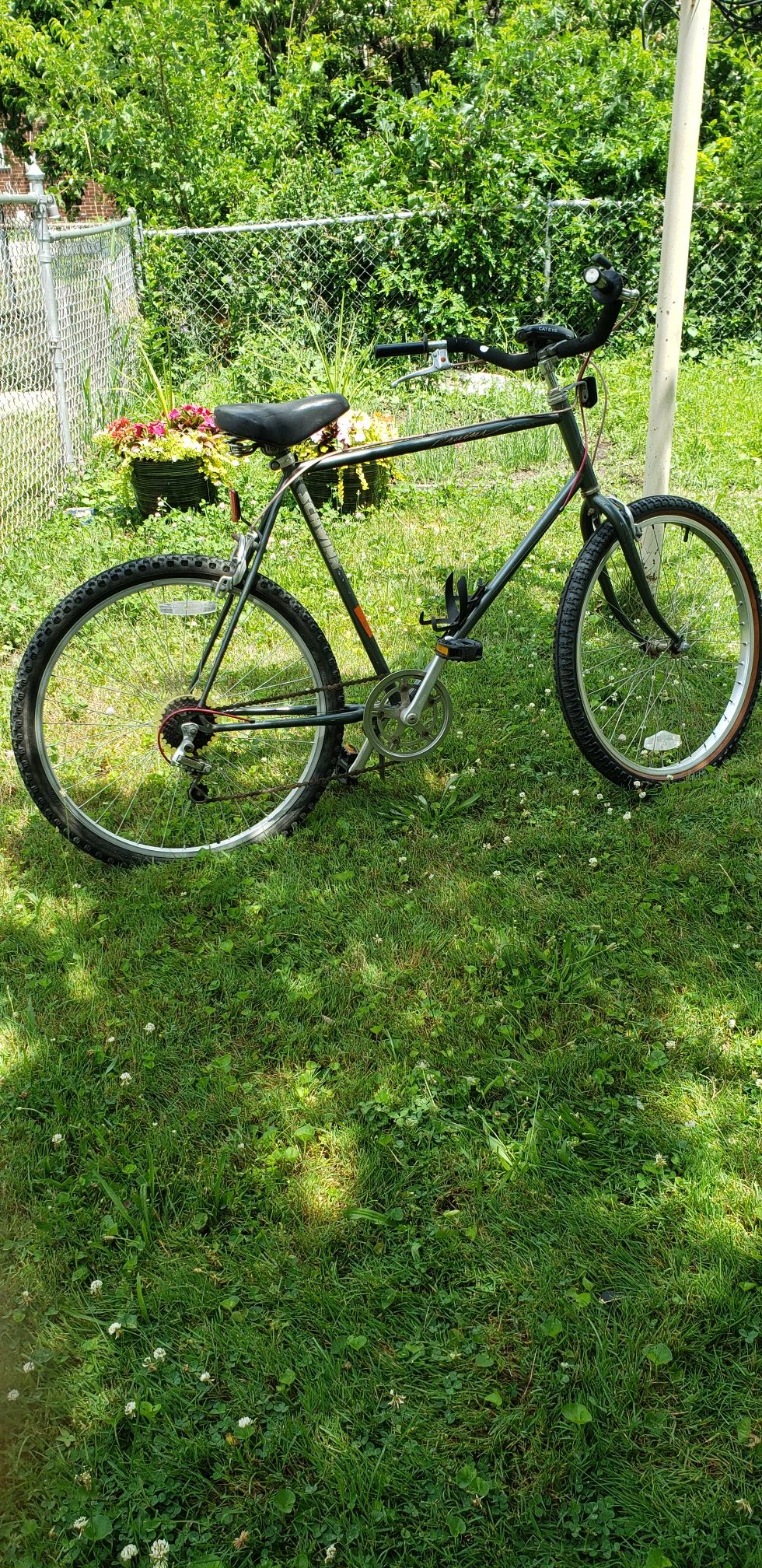 Schwinn cruiser bike, 26 inches tire size, in perfect condition