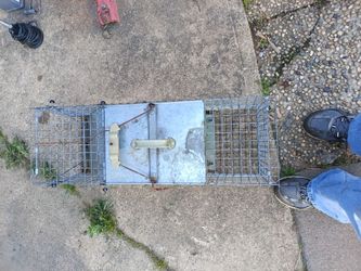 Animal trap no harm