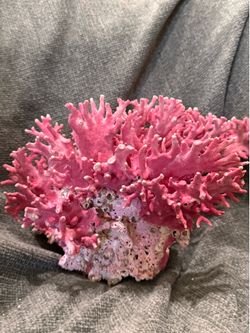 Natural Pink Coral
