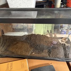 Reptile Tank