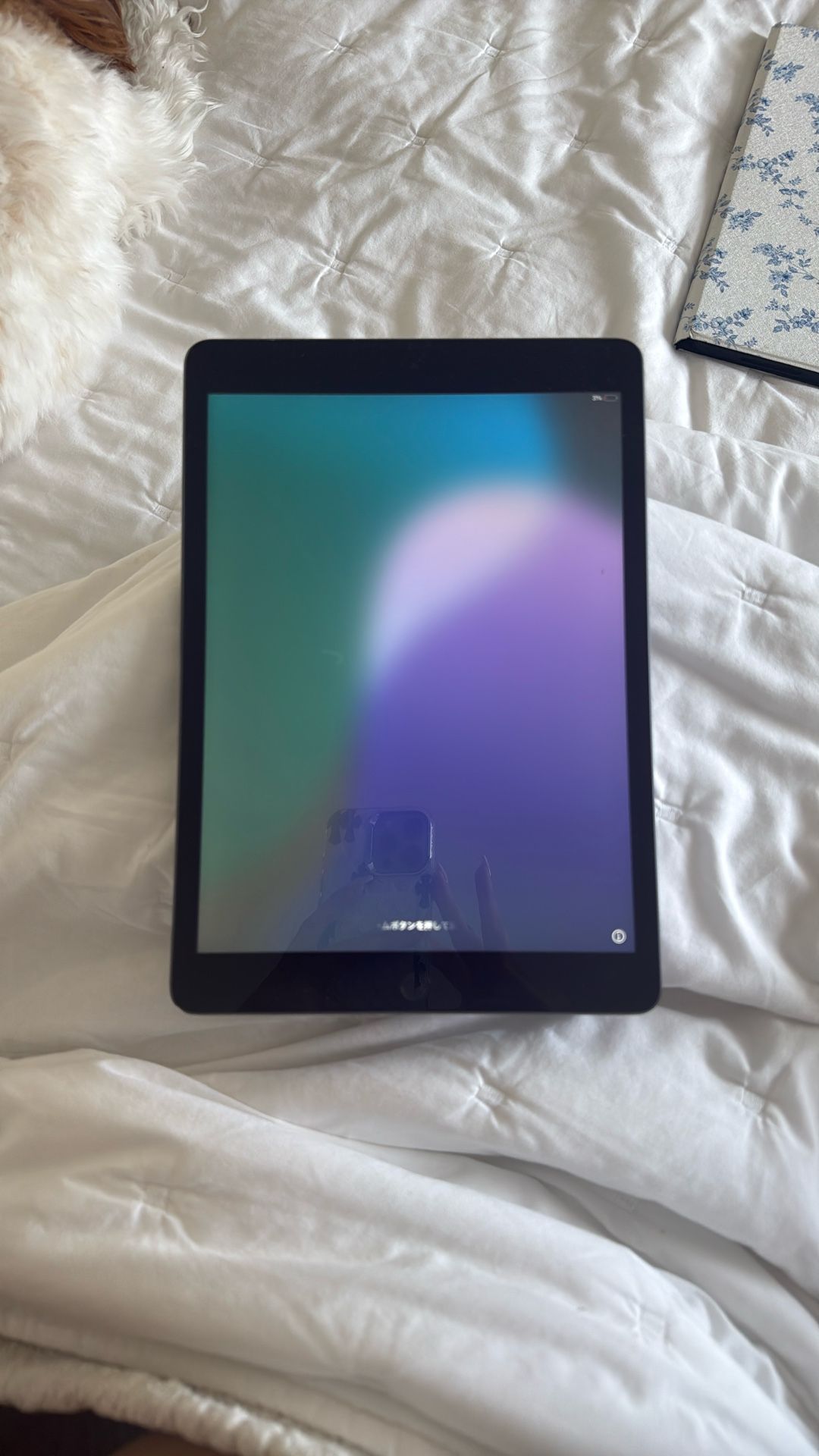ipad for sale 