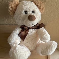 BRAND NEW Teddy Bear