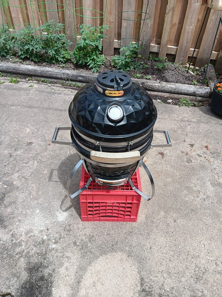 Visions Grills Kamado Ceramic Grill