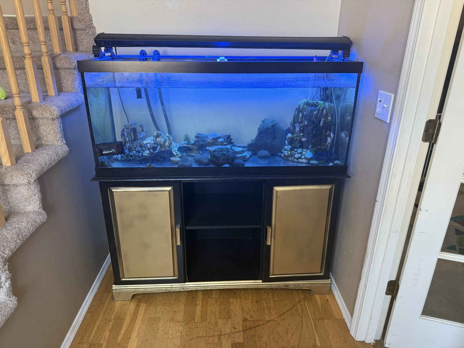 75 Gallon Tank And Stand