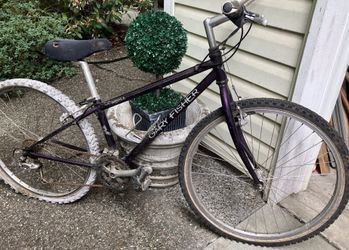 Vintage Gary Fisher Aquila Mountain Bike