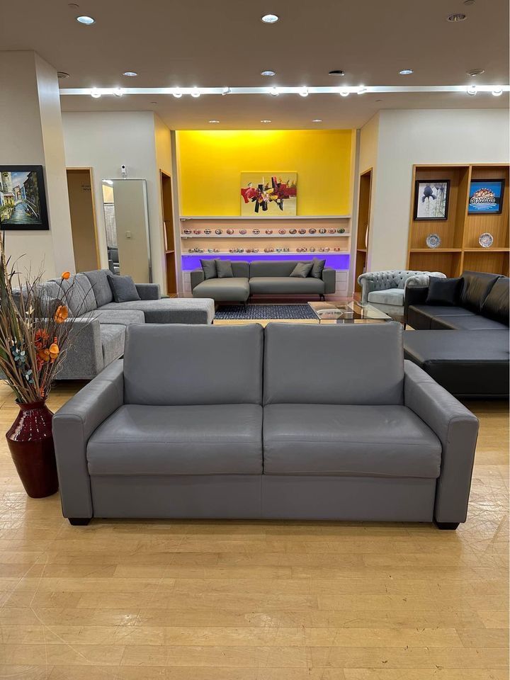 Loveseat,sofa Bed ,sofa Sleeper