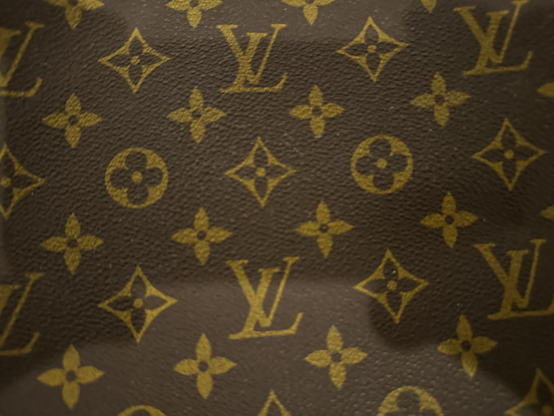 Authentic Louis Vuitton Bag Rare 