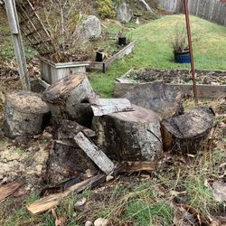 Free Logs