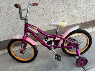 Schwann Bike
