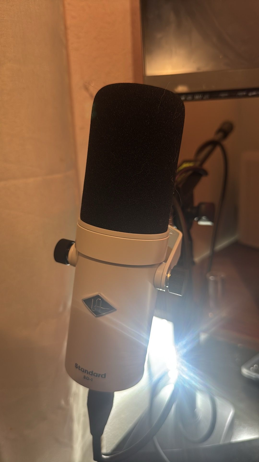 Universal Audio SD1 IFYKYK  & Hobbies