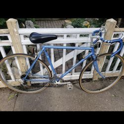 1980s Vintage Miyata 110 SP road touring bike 21 for Sale in Chicago IL OfferUp