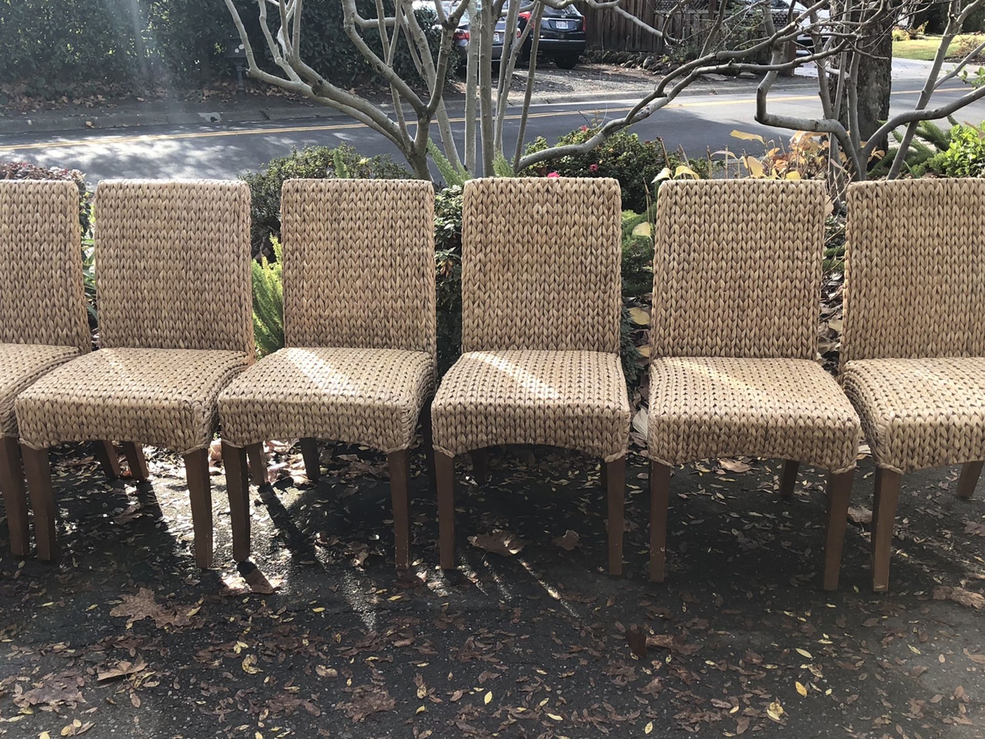 6 Pottery Barn Seagrass Dining Chairs