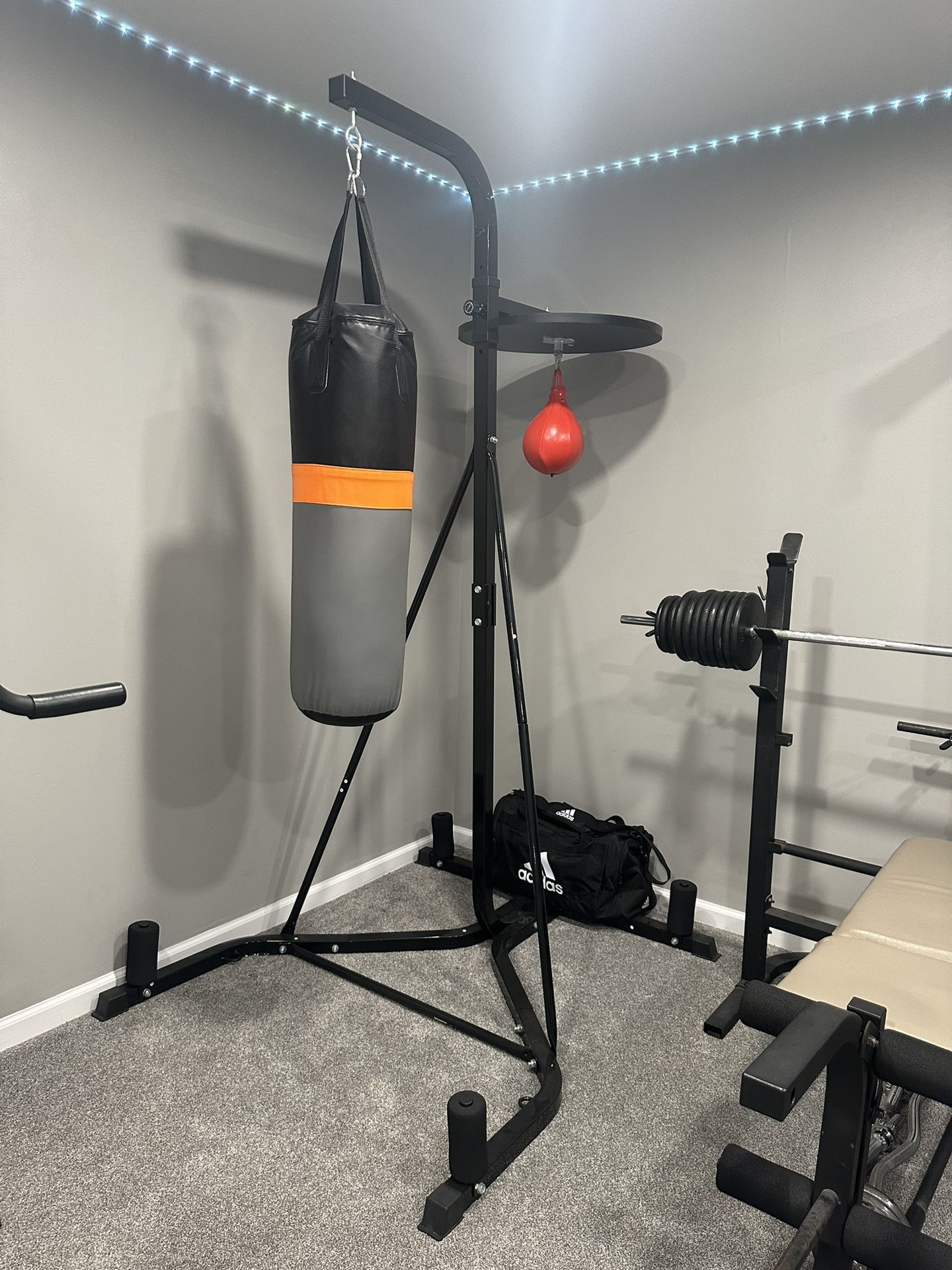 Punching Bag With Speed Ball