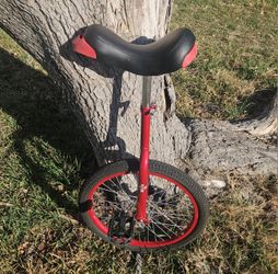 "Fun 20 Inch Unicycle"