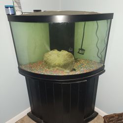 Fish Tank Corner for Sale in Commack NY OfferUp