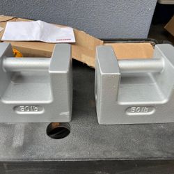 Pair Rice Lake Weights