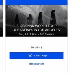 Blackpink Concert VIP Ticket for Sunday 7/13 (1 qty)