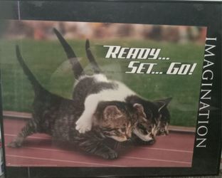 Cat Art