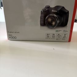 Sony DSC H300