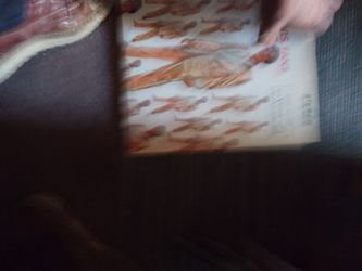 Vintage LP records