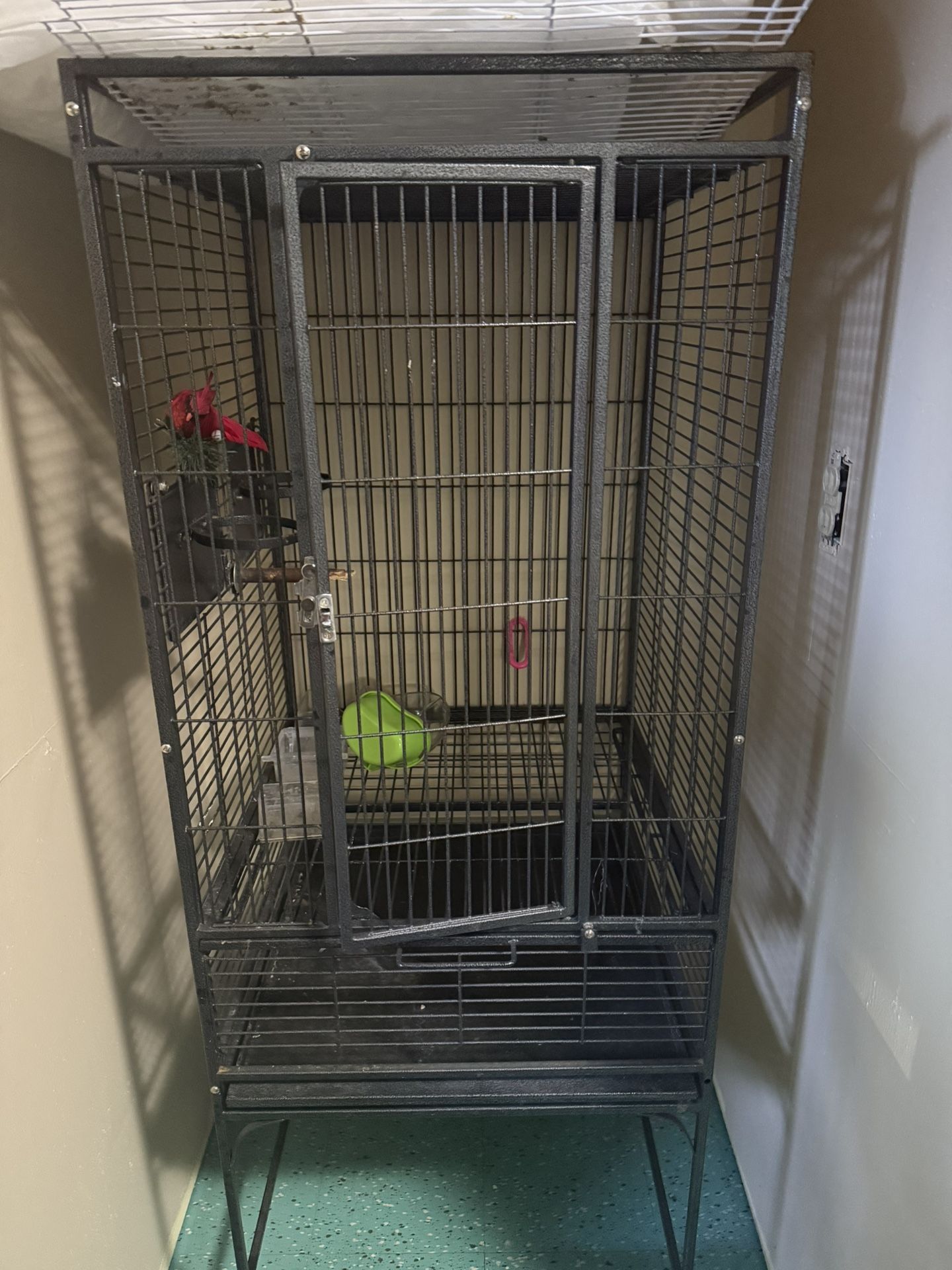 Black Bird Cage