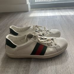 Gucci Aces