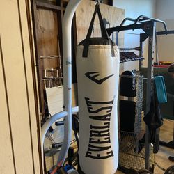 Everlasting Punching Bag And Stand