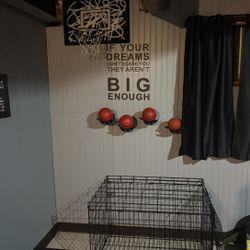 48-Inch iCrate Folding Dog Crate with Divider