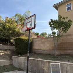 Lifetime Basketball Hoop