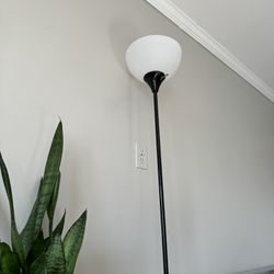 Standing Lamp 2 For $10