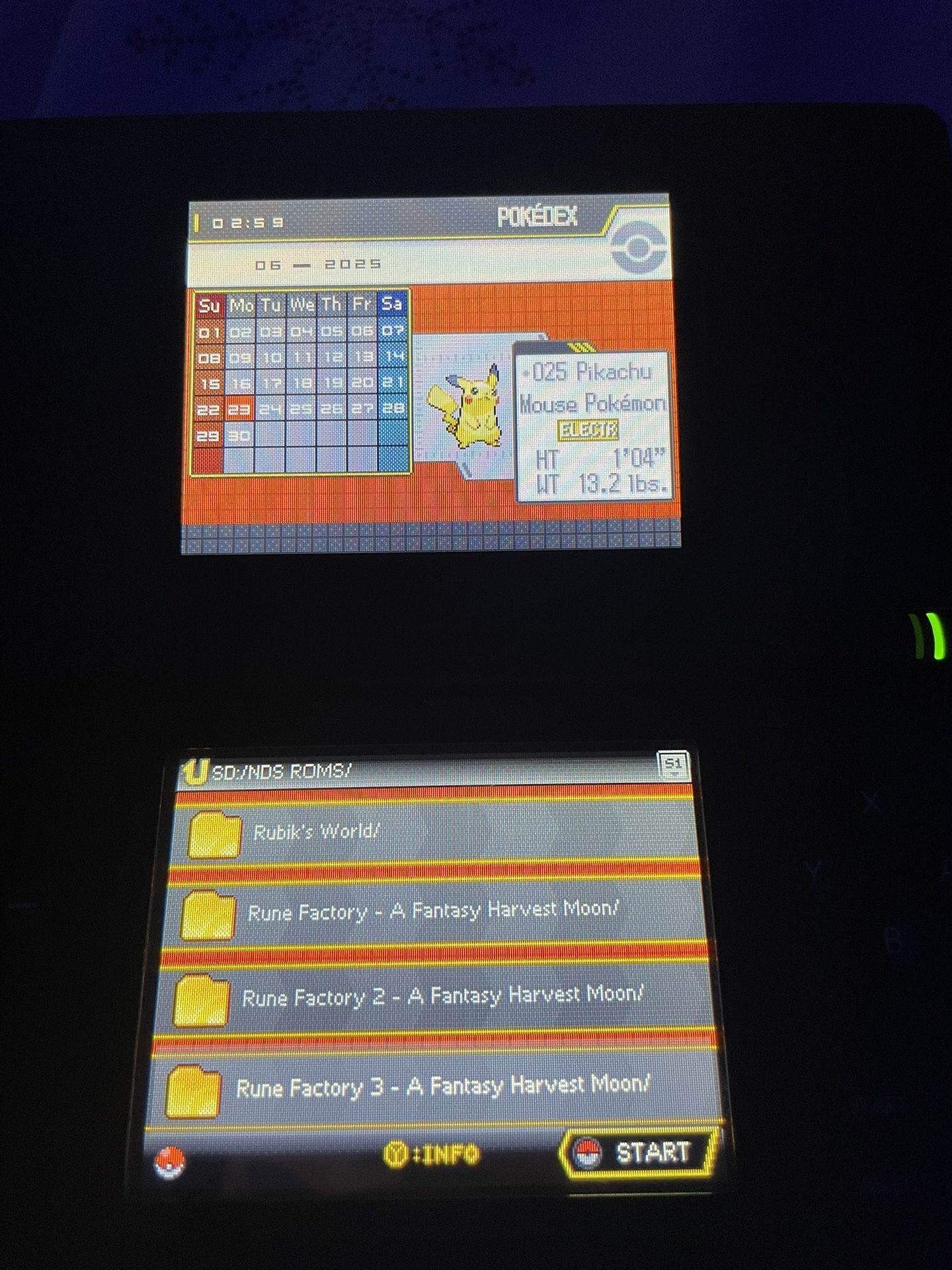 Nintendo DS Lite