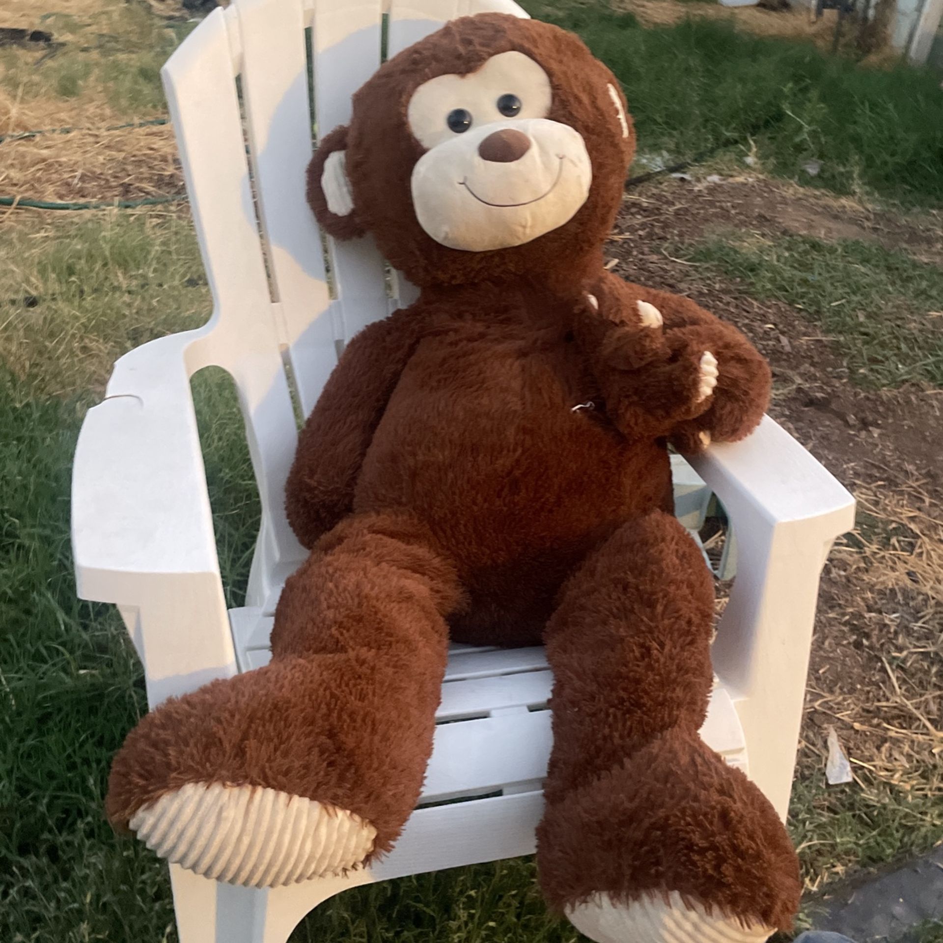 Stuffed Animal
