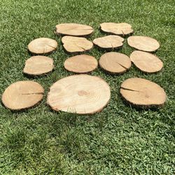 🪵*Discounted Tree Slices/ Random Sizes* (Slices Vary From The Picture Depending On What Is Available)🪵