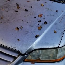 2002 Honda Accord