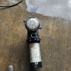 Pool Pump 